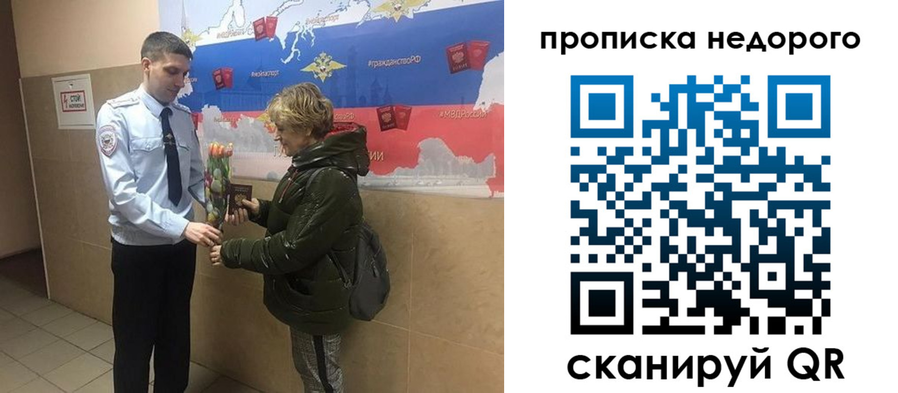 прописка для школы в Сафоново